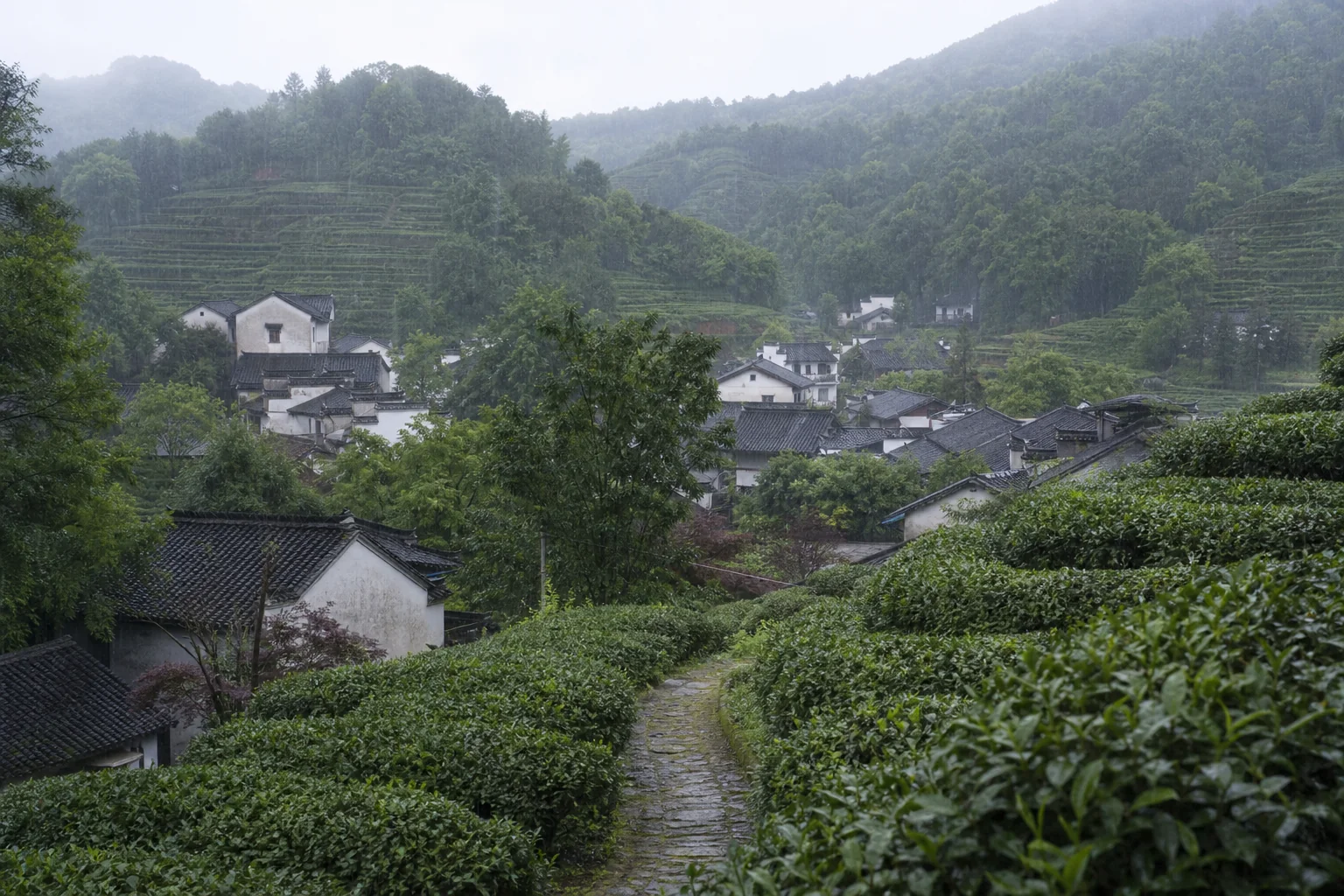 物之卷
