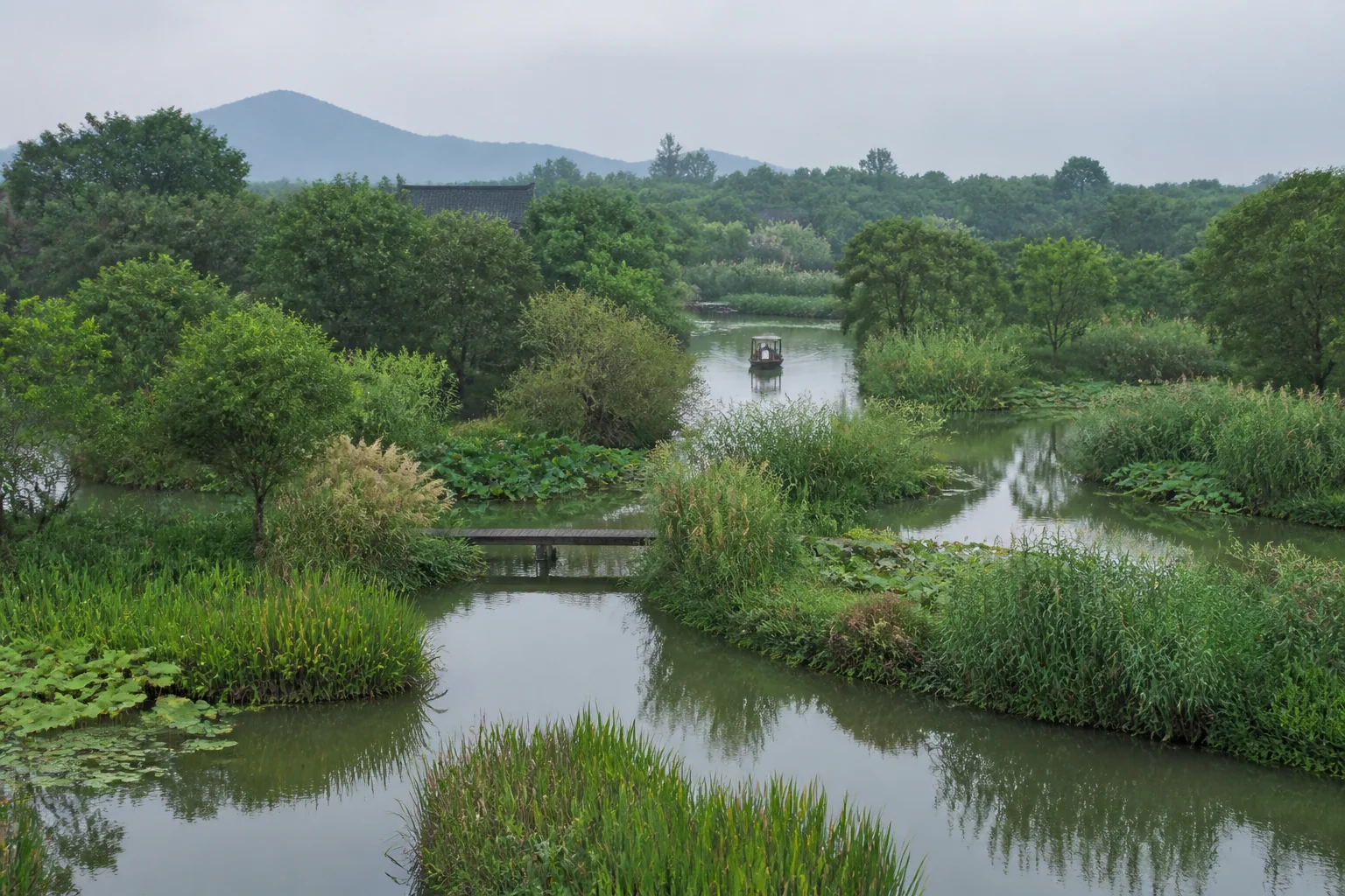 西溪湿地
